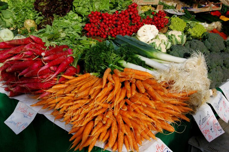 Gesunder Körper und Geist durch richtige Ernährung